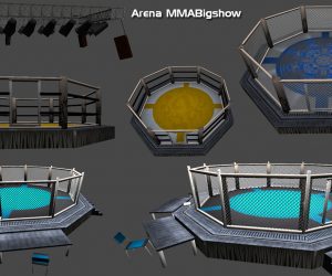 Arena-MMA